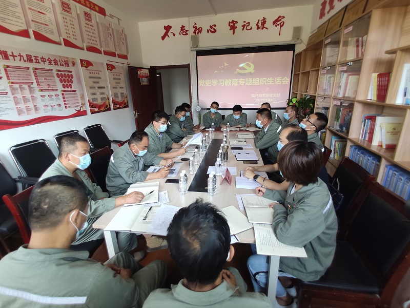 實、準、狠三字訣 助力黨史學(xué)習(xí)教育專題組織生活會走深走實