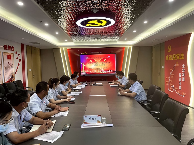 智引公司突出“深、實、準、真、狠” 確保專題組織生活會有實效