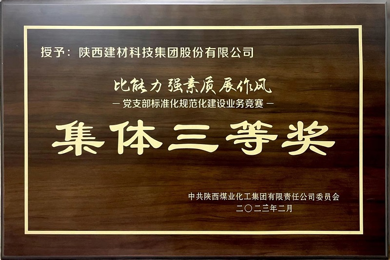 陜西建材科技公司榮獲“黨支部標(biāo)準(zhǔn)化規(guī)范化建設(shè)”類競賽三等獎(jiǎng)及“優(yōu)秀組織獎(jiǎng)”