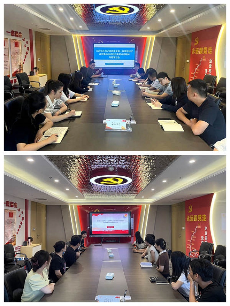 智引公司各團支部學習傳達習近平同團中央新一屆領導班子成員集體談話時的重要講話精神